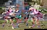 Round 11 V Wellington